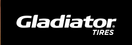 Gladiator logo